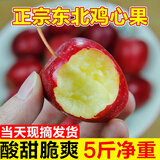 菓灵稥【现货】东北鸡心果小苹果锦绣海棠果沙果新鲜水果甜脆 5斤大果 甄选装 商超品质