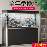 西龙中大鱼缸客厅家用落地懒人生态免换水带柜子一体自循环金鱼水族箱 38CM单鱼缸