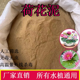 品优铺泥土荷花纯正天然荷塘泥碗莲泥土铜钱草专用水生植物河淤泥营养土 精选荷塘泥一斤装
