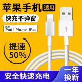 索赢适用苹果12W充电器头5V2.4A平板 iPad air2/Pro/mini4/3/2适配器 适用苹果数据线