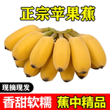 鲸咚亿农福建苹果蕉新鲜当季时令水果甜香蕉整箱 9斤 超值装