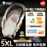 贝司令（BEISILING）【鲜活】乳山生态生蚝牡蛎源头直发聚会烧烤5XL 净重9斤 17-19只