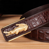 尊爵狼真鳄鱼皮带男真皮礼盒无头平滑扣针扣泰国腰带不带头送父亲男朋友 鳄鱼铜扣+鳄鱼骨皮咖啡 120cm