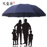 天堂伞十骨加大抗风双人大雨伞三人大伞折叠男女学生商务定制logo广告伞 33212E碰十骨三人雨伞【藏青】