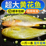 御泸鲜湘【顺丰发货】精选特大黄花鱼新鲜深海大黄鱼宁德黄花鱼1-2斤1条 5斤装【5条】回头客多 掌柜力荐