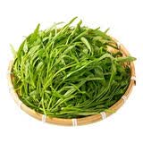 【本地鲜】青浦空心菜 300g