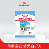 皇家狗粮 小型犬幼犬全价狗粮 宠物犬泰迪博美比熊专用 MIJ31 MIJ31小型幼犬试用装非卖品50g