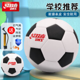 红双喜（DHS） 红双喜足球儿童青少年小学生成人训练比赛用球 5号足球+气筒气针