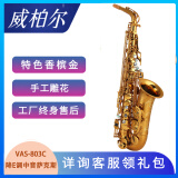 VIBRA（VIBRA）萨克斯降e调中音萨克斯风管乐器零基础初学考级演奏通用 803C中音香槟色【全套礼包】