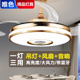 唯色 风扇灯隐形吊扇灯家用餐厅客厅卧室餐桌带电扇一体吊灯现代简约 48寸强风扇叶-金色 变频遥控