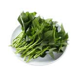有机地瓜叶250g