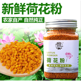 春暖花开新鲜荷花粉 天然纯正花粉农家自产人吃莲花粉 荷花粉250g/瓶（实发2瓶）