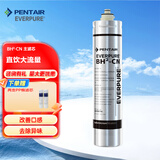 爱惠浦（Everpure）家用净水器直饮机净饮机主滤芯 BH2-cn主滤芯