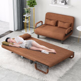 立太（LEADTEK） 沙发床现代两用折叠单人沙发双人多功能租房小户型简易布艺沙发 咖啡色190X100cm【两个抱枕】