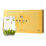 豫礼2025年绿茶信阳毛尖茶叶特级250g 明前嫩芽商务茶礼送礼礼盒