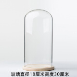 芷尧定制 永生花玻璃罩透明 礼物展示盒 摆件diy干花圆形防尘罩工艺品 白色 18*30+原木平底【不支持换底座】