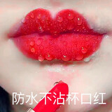 兰奕不沾杯不掉色的保湿持久防水口红持久囗 红大牌正品豆沙色保湿 506正红