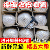 兮柔海南椰子 椰青 去皮青椰子新鲜椰子水椰子汁精选大果孕妇水果现摘 6个装【吸管+开椰器】