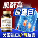 pipingrock进口降肌酐吃什么药肌酐高修复肾损伤保健片护肾衰竭品肾病尿蛋白 基础调理装*1瓶