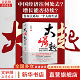【正版包邮】置身事内：中国政府与经济发展 兰小欢 著 将经济学原理与中国经济发展的实践有机融合，深入浅出地论述了中国经济的发展 中国政治经济系列书籍可选 新华书店旗舰店 大崛起【赵燕菁 著】