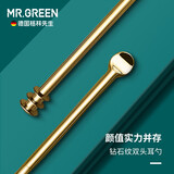 MR.GREEN挖耳勺进口不锈钢双头螺旋式掏耳勺便携采耳工具便携耳屎清洁器神 金色【单个简装】