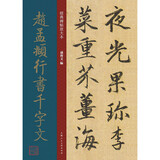 经典碑帖放大本——赵孟頫行书千字文