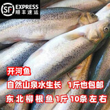【顺丰】柳根鱼东北柳根子冷水河鱼活鱼速冻发货冷水细鳞鱼 【顺丰速运】一斤一袋真空包装 柳根鱼5斤【大号每斤9-11条】