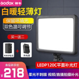 神牛（Godox） P120C-P260C LED补光灯平板摄影灯直播网红主播灯可调色温摄像灯柔光灯美食婚庆打光摄像补光灯 【3】P120C补光灯+4000电池+充电器