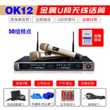 先科（SAST） 先科无线话筒家用唱歌专业ktv卡拉Ok一拖二会议专用金属U段全名K歌可调频麦克风 先科/OK-12+充电套装