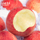 生活＆好管家山西水蜜桃毛桃子新鲜水果超甜多汁现摘 水蜜桃带箱10斤超值[净重8.5-9]