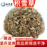 珈祁堂 积雪草中药材新货另有黄蜀葵花崩大碗马蹄草雷公根铜钱草落得打 积雪草500克【新货】