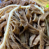 湾钰蜜新鲜带底板整个黑毛肚批发5斤商用黑牛肚大叶片火锅食材 黑千层肚   5斤