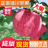 洛川苹果陕西延安红富士时令苹果水果礼盒装苹果生鲜新鲜脆甜整箱好吃新鲜 5斤80-85mm（净重4.5斤）爆卖款