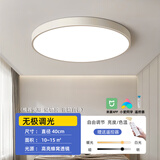 小米（MI）智能语音小爱同学吸顶灯简约现代卧室大客厅阳台灯 纤元白40CM24W小爱同学