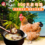 潭牛500天老母鸡2.4斤 农家散养土鸡 走地鸡  炖汤煲汤冷冻鸡肉