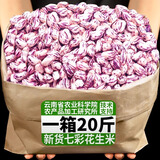 滇脉20斤农科院2024年云南特产七彩花生米新鲜晒干去壳五彩花生批发 【口感香甜】七彩花生米 500g*5袋