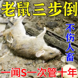 乐肖鼠老鼠药三步到一闻就死一窝端神器剧毒家用室内外汽车超特强力效药 老鼠药三步到一闻就死一窝端2袋