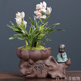 裕轩堂紫砂陶瓷花盆创意蝴蝶兰绿植盆栽老桩小和尚摆件文竹盆景禅意花盆 紫砂-0450 大