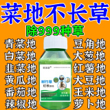 除草剂烂根除杂草三年不长草不伤菜苗烂根死树灌木杂草一扫光专用 单瓶装【菜地除草专用】