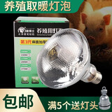 猪博士 保温灯养殖仔猪取暖灯泡小猪保温灯小鸡取暖灯保温灯 150W(买4送1灯头)
