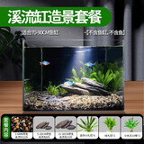 疯狂水草天然贝壳海螺适配小米鱼缸造景水族箱全套布景海星装饰生态摆件 溪流缸造景套餐（适合70-90cm鱼缸）