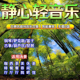 欧朴轻音乐tf卡休闲纯音乐咖啡厅乐器高音质音乐凯丽金回家无损 纯音乐158首（音质一般） U盘选我