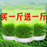 拾茗集恩施绿茶2024新茶茶叶 散装高山毛尖耐泡茶自产自销500 500g买一斤多一斤