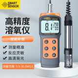 希玛氧气检测仪便携式溶氧仪溶解氧测定试仪水含氧量检测仪AR8406