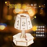 玩小匠儿童科技小制作diy材料模型中小学科学实验steam手工套装益智玩具 【光】智能语音台灯
