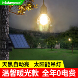 颖朗太阳能吊灯户外庭院灯路灯家用照明灯室外花园灯凉亭超亮复古防水 【暖光铁艺款】温馨暖光智能控