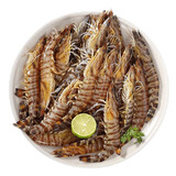 鲜活斑节虾200g（约18-24只）