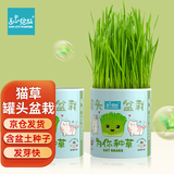 IAM City Farmer猫草罐头 儿童种植小盆栽diy植物观察绿植花卉桌面室内罐头种子
