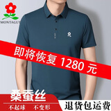 梦特娇夏季休闲短袖男士T恤中年高端时尚桑蚕丝翻领POLO衫短袖t恤刺绣 哈青 175/92A 建议135-150斤