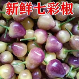 广西广东云南1-5斤现摘七彩椒大个头彩椒五彩椒泡椒灯笼椒脆爽辣 3斤 中大果